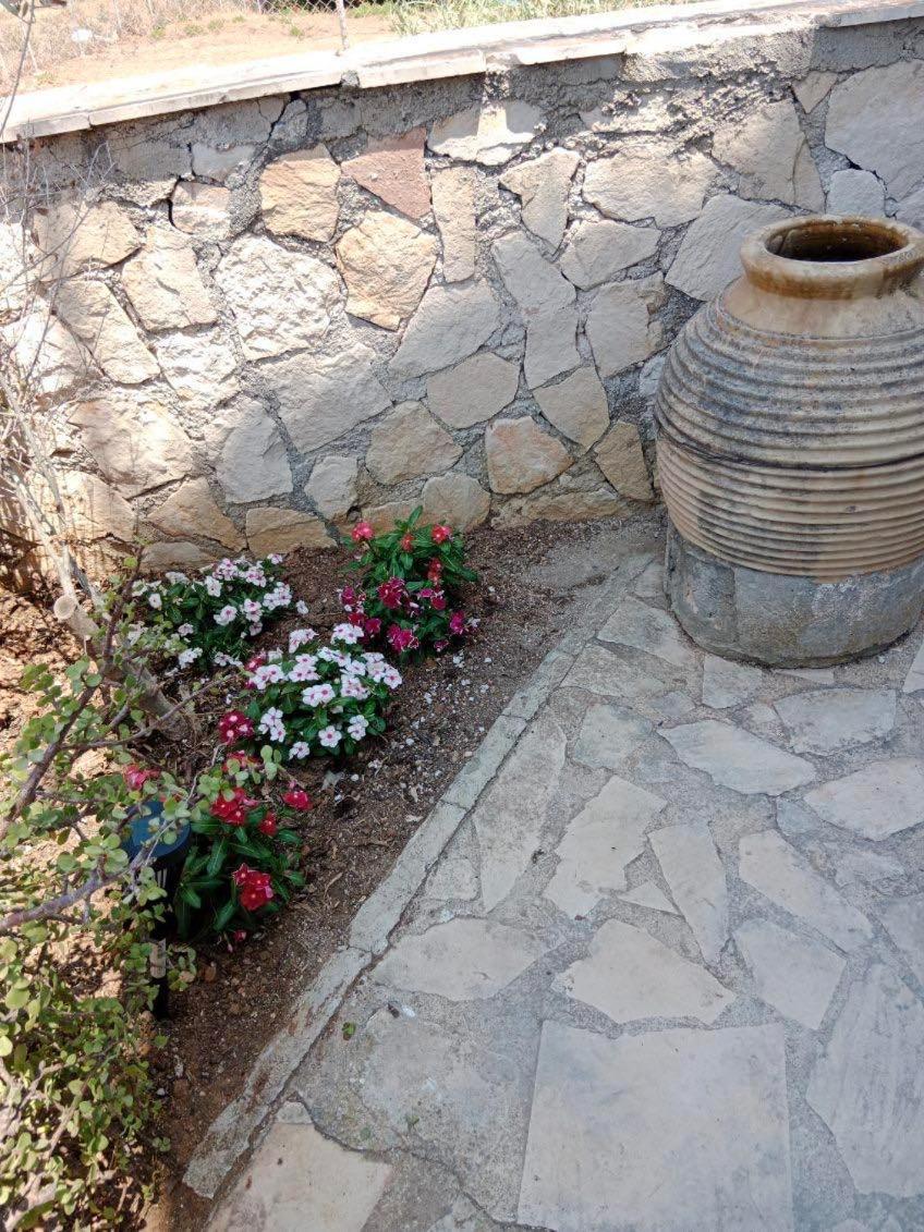Villa Huggali Zante Sea Front Lux 120m2 Maisonette Amoudi